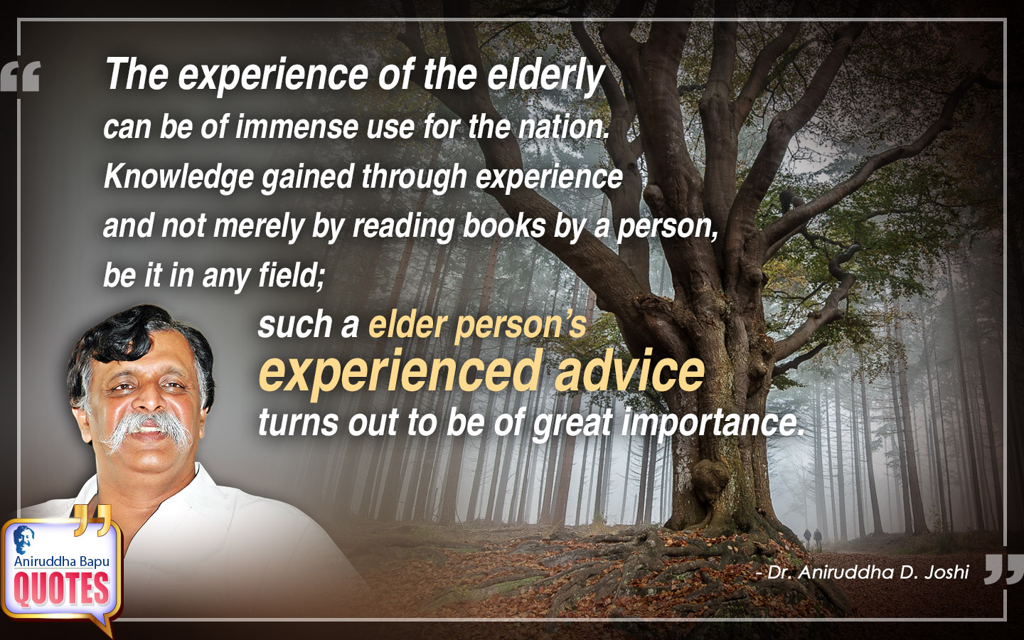 The experience of the elderly can be of immense use for the nation. Knowledge gained through experience and not merely by reading books by a person, be it in any field; such a elder person's experienced advice turns out to be of great importance.